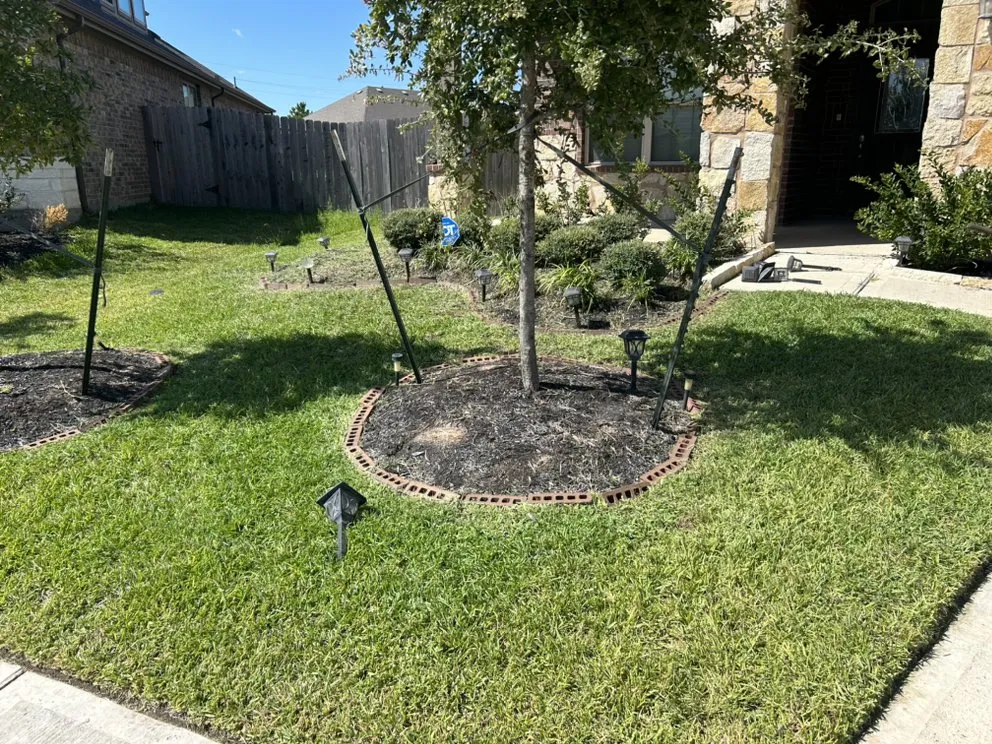 Custom landscaping services in Houston, TX - Green up