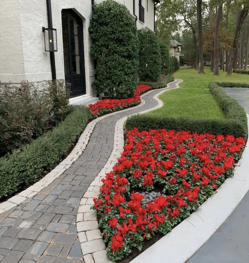 Top-rated yard cleanup service experts serving Houston, TX - Green up