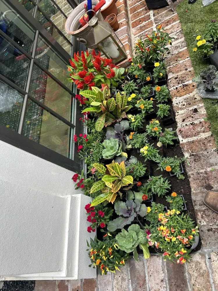 Affordable landscape design for residential properties in Houston, TX by Green up