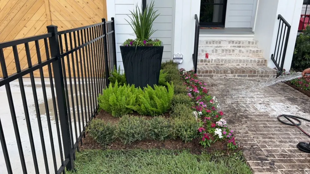 Affordable landscaping services experts serving Houston, TX - Green up