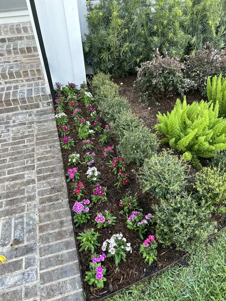 Local landscape installation for homes in Houston, TX by Green up