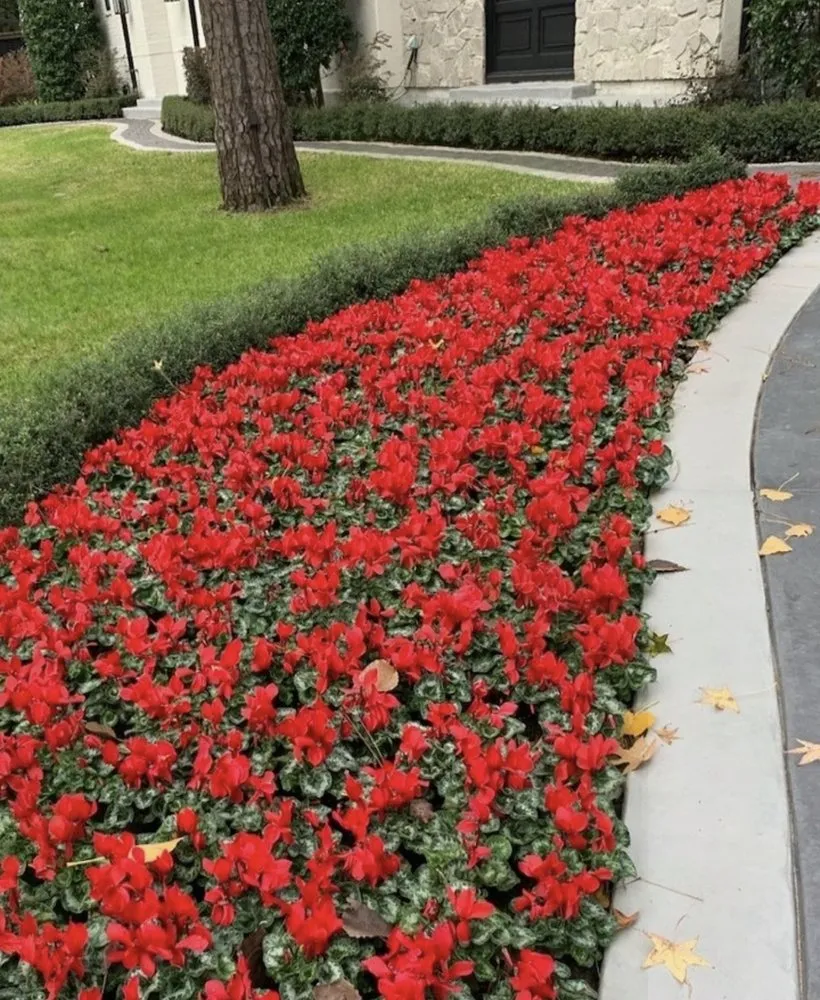 Custom residential landscaping in Houston, TX by Green up