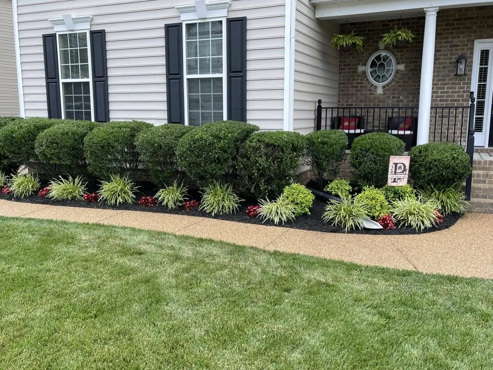 Top-rated yard cleanup service for homes in Henrico, VA by Green Up Lawn Care
