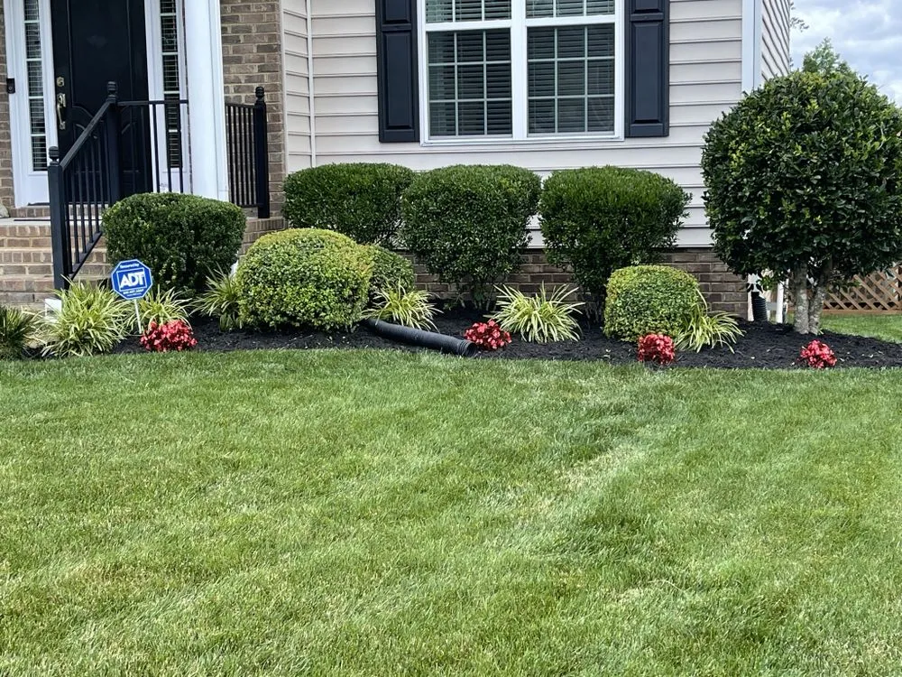 Professional yard cleanup service near you in Henrico, VA by Green Up Lawn Care