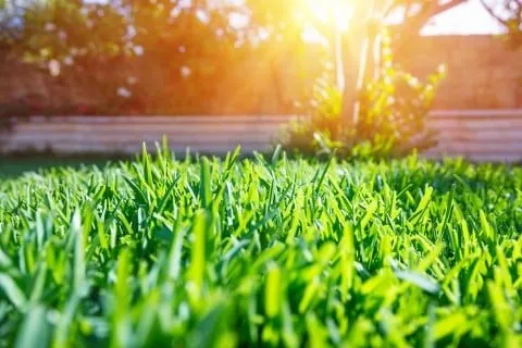 Custom outdoor landscaping in Hulmeville, PA - Green Up Turf Care