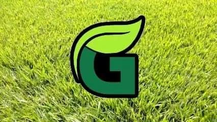 Custom yard cleanup service experts serving Brookwood, AL - Green Up Turf Pros