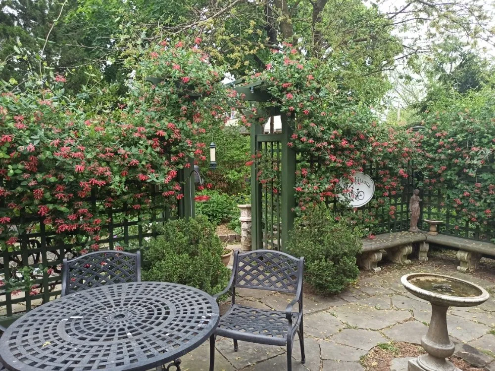 Trusted outdoor landscaping for outdoor upgrades across Watertown, MA - Green Urb Gardens