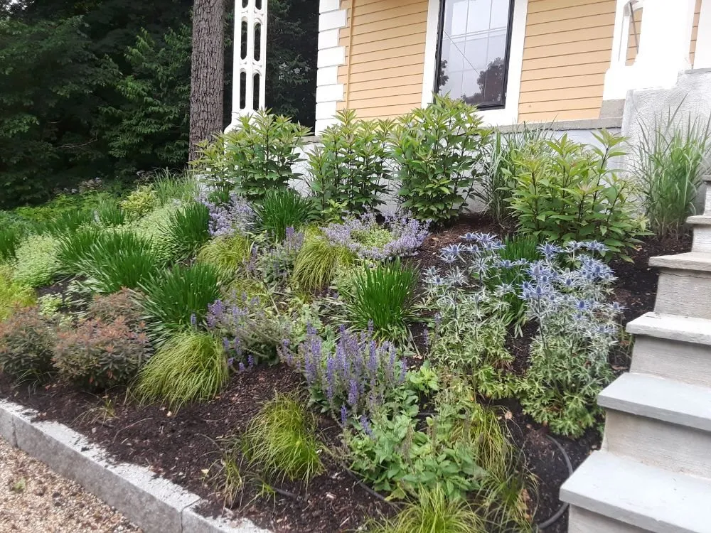 Expert yard maintenance experts serving Watertown, MA - Green Urb Gardens