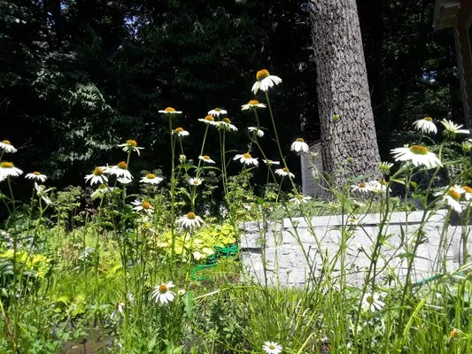 Green Urb Gardens Logo