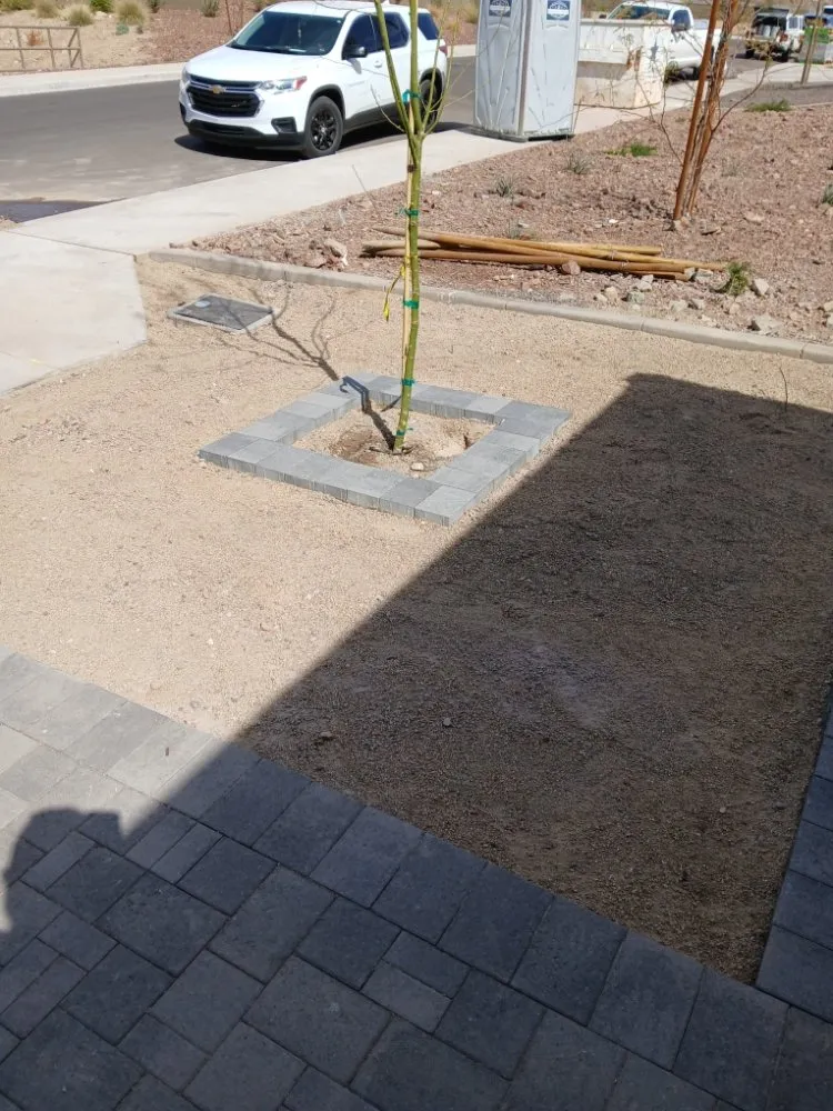 Top-rated landscaping services near you across Glendale, AZ - Green Valle Landscaping