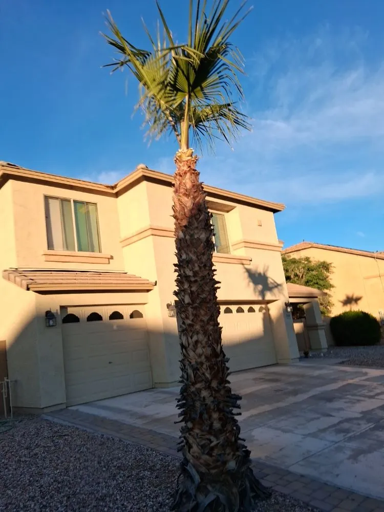 Reliable landscaping services for outdoor upgrades across Glendale, AZ - Green Valle Landscaping