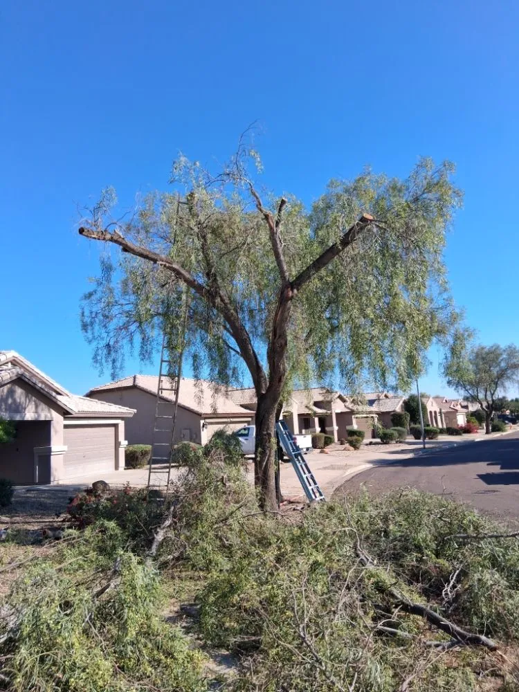 Local landscaping services in Glendale, AZ - Green Valle Landscaping