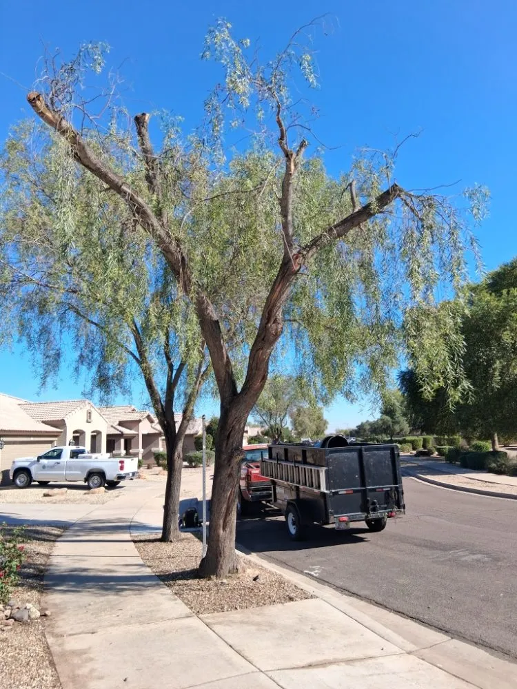 Local landscape design in Glendale, AZ by Green Valle Landscaping