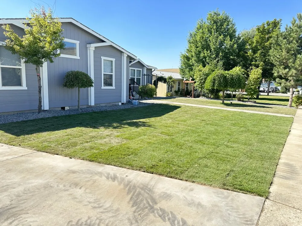 Professional yard cleanup service for residential properties across Rock Island, WA - Green Valley Expertise