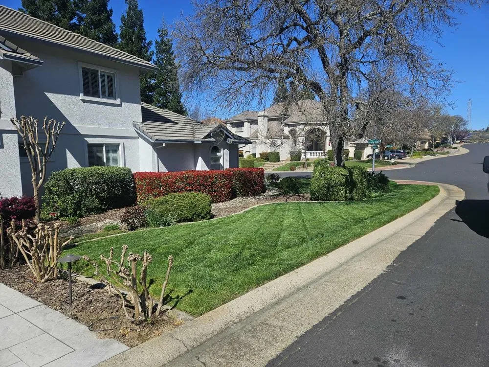 Reliable residential landscaping near you in Sacramento, CA by Green Valley Gardening