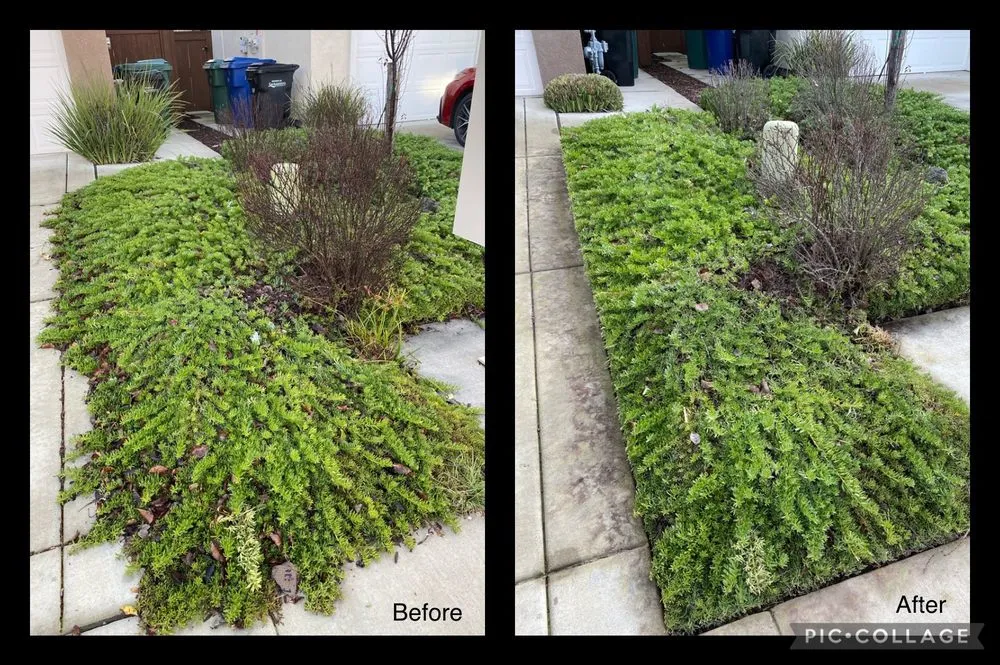 Local lawn mowing service experts serving Sacramento, CA - Green Valley Gardening