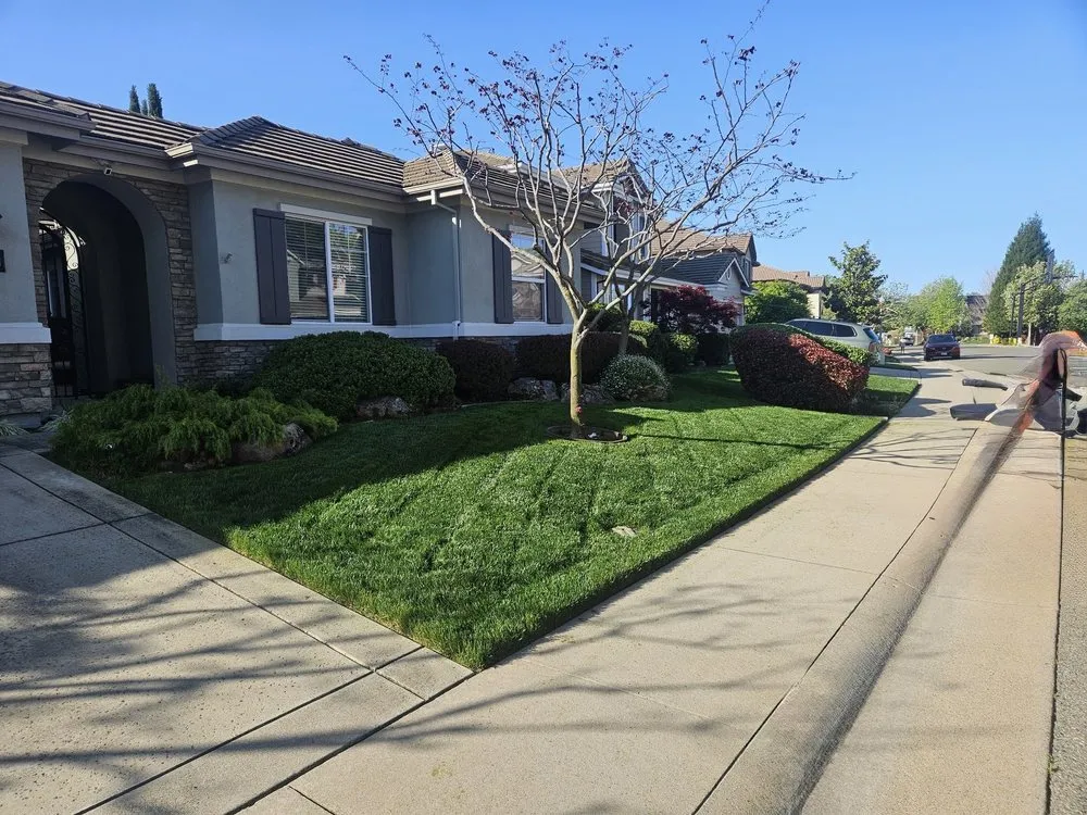 Trusted landscape design in Sacramento, CA - Green Valley Gardening