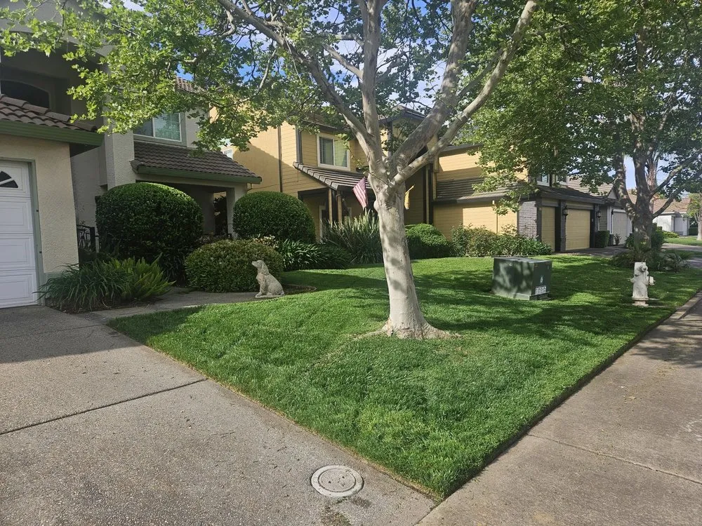 Affordable lawn care service in Sacramento, CA by Green Valley Gardening