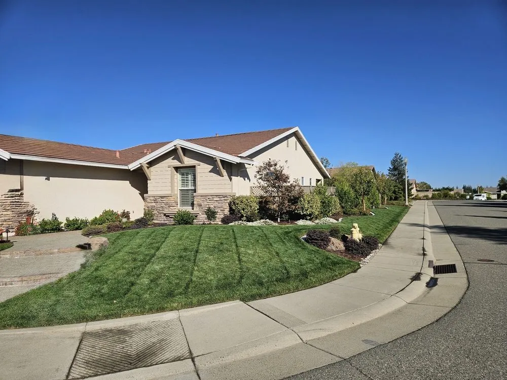 Professional yard cleanup service in Sacramento, CA by Green Valley Gardening