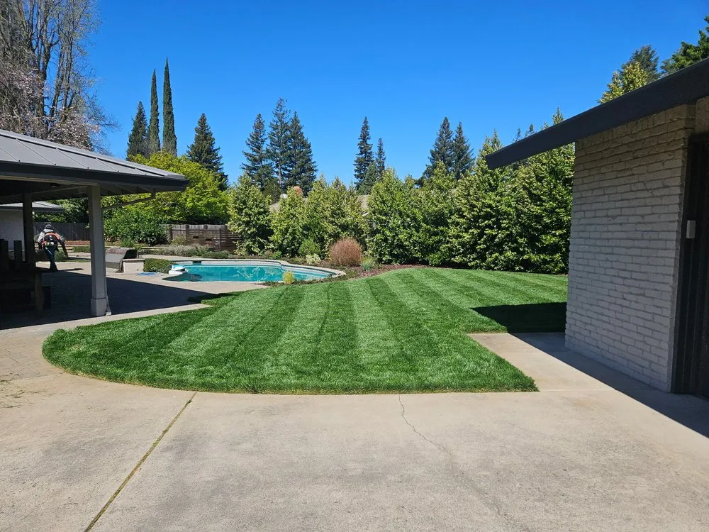 Affordable landscaping services near you in Sacramento, CA by Green Valley Gardening