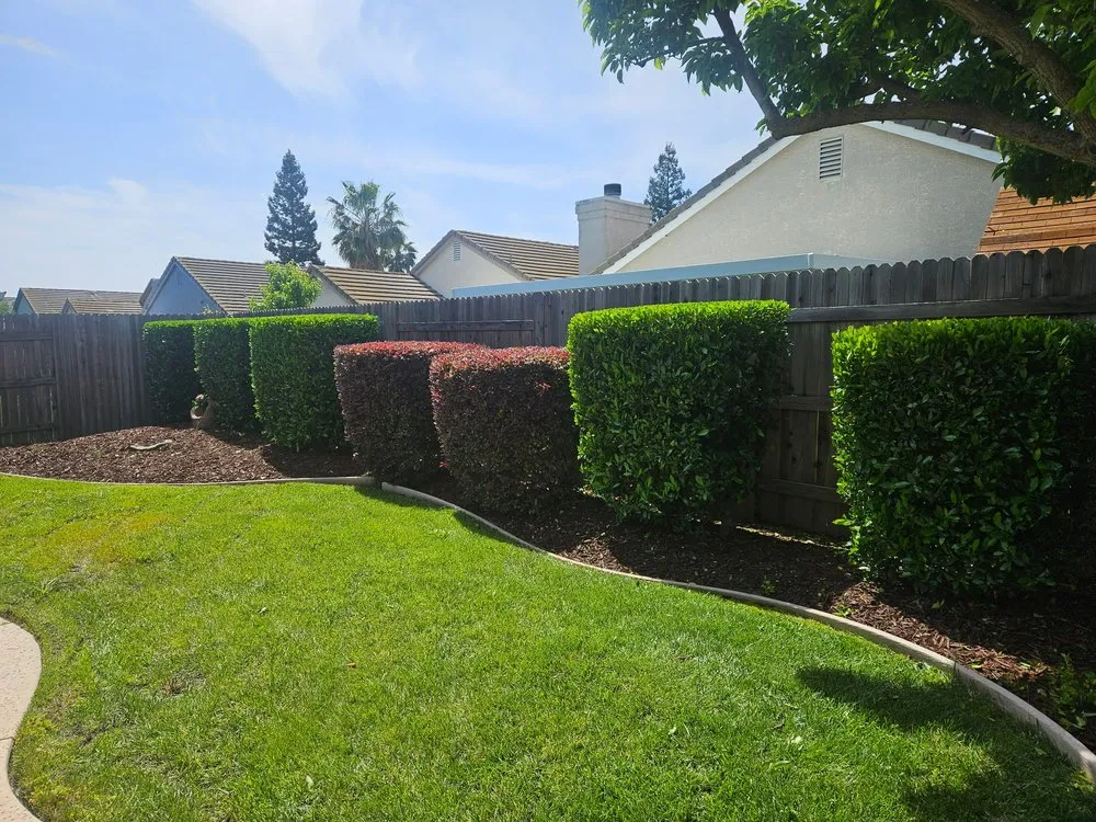 Local yard cleanup service in Sacramento, CA by Green Valley Gardening