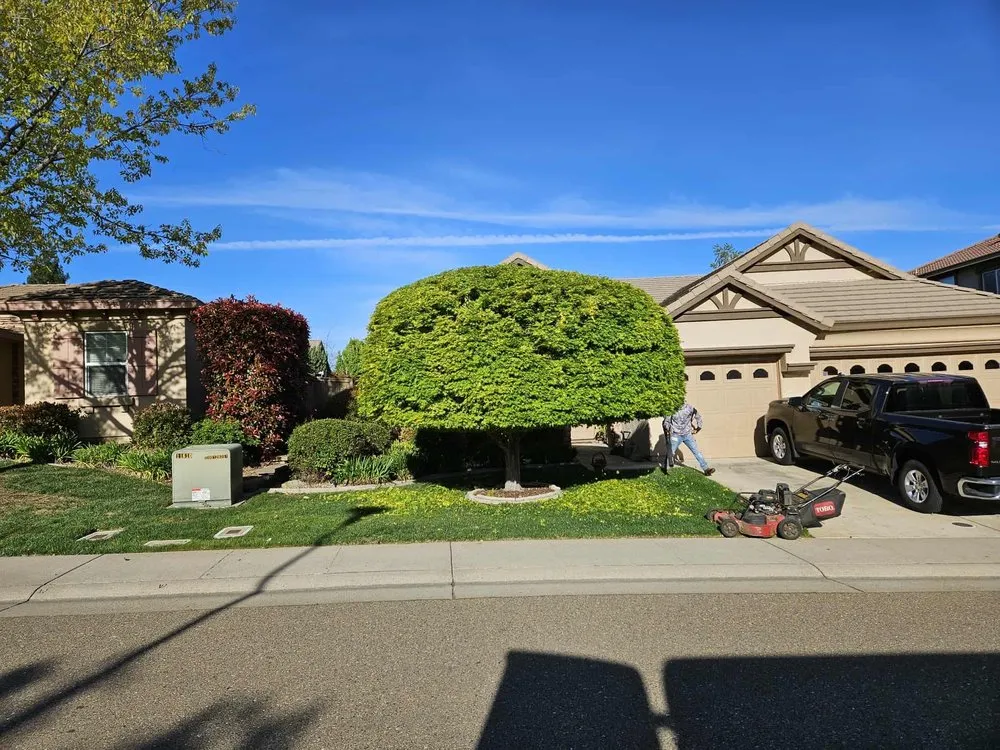 Local garden landscaping experts serving Sacramento, CA - Green Valley Gardening