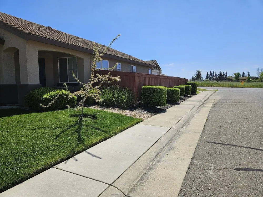 Custom yard cleanup service experts serving Sacramento, CA - Green Valley Gardening