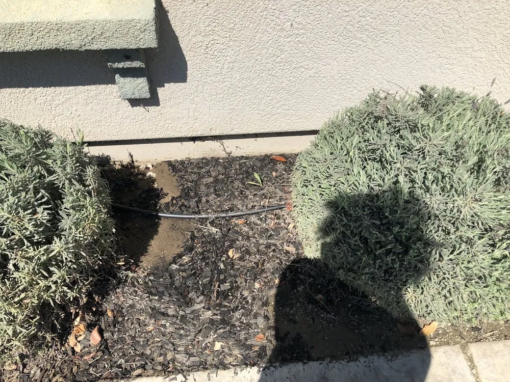 Affordable landscaping services in Visalia, CA - Green Valley Gardening