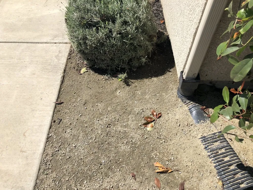 Custom yard cleanup service in Visalia, CA - Green Valley Gardening