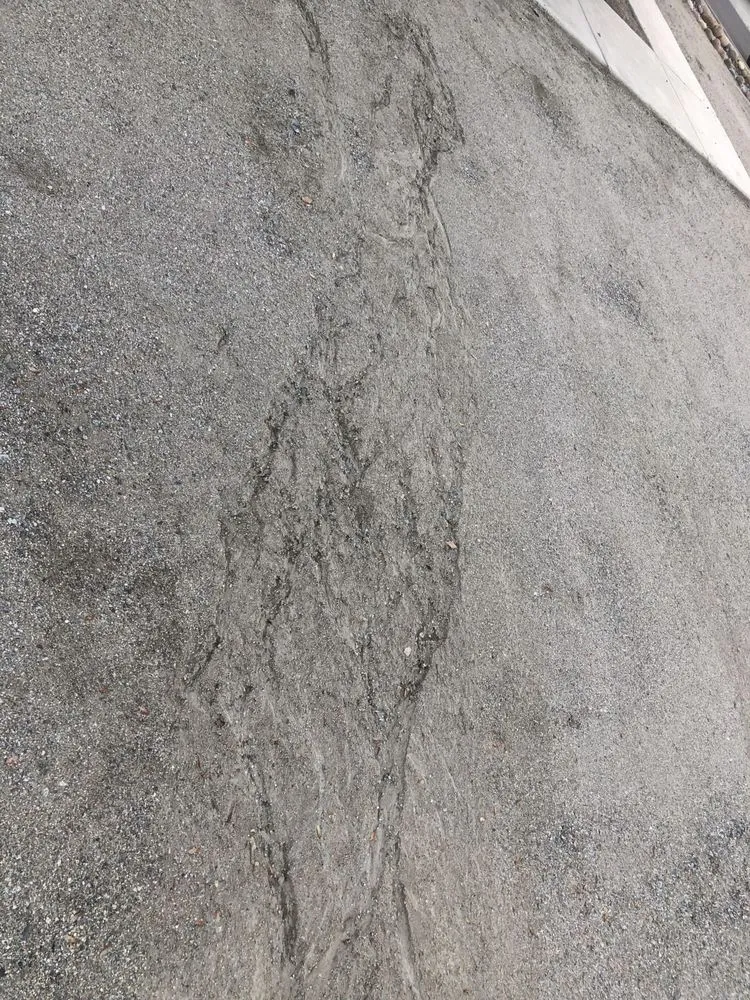 Expert yard maintenance experts serving Visalia, CA - Green Valley Gardening