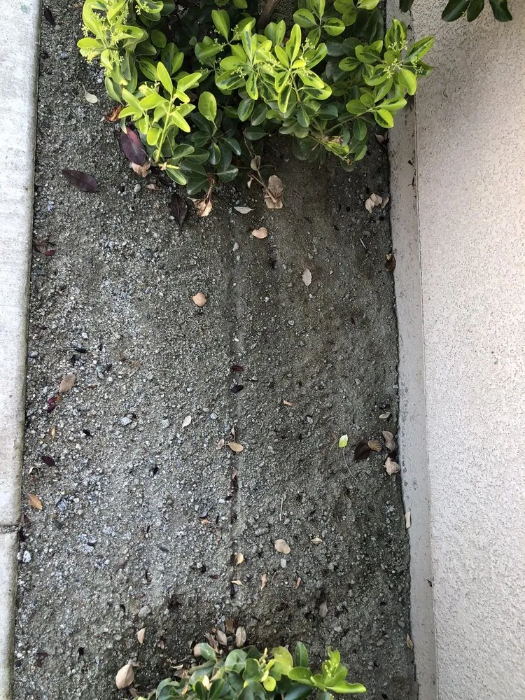 Professional landscape installation experts serving Visalia, CA - Green Valley Gardening