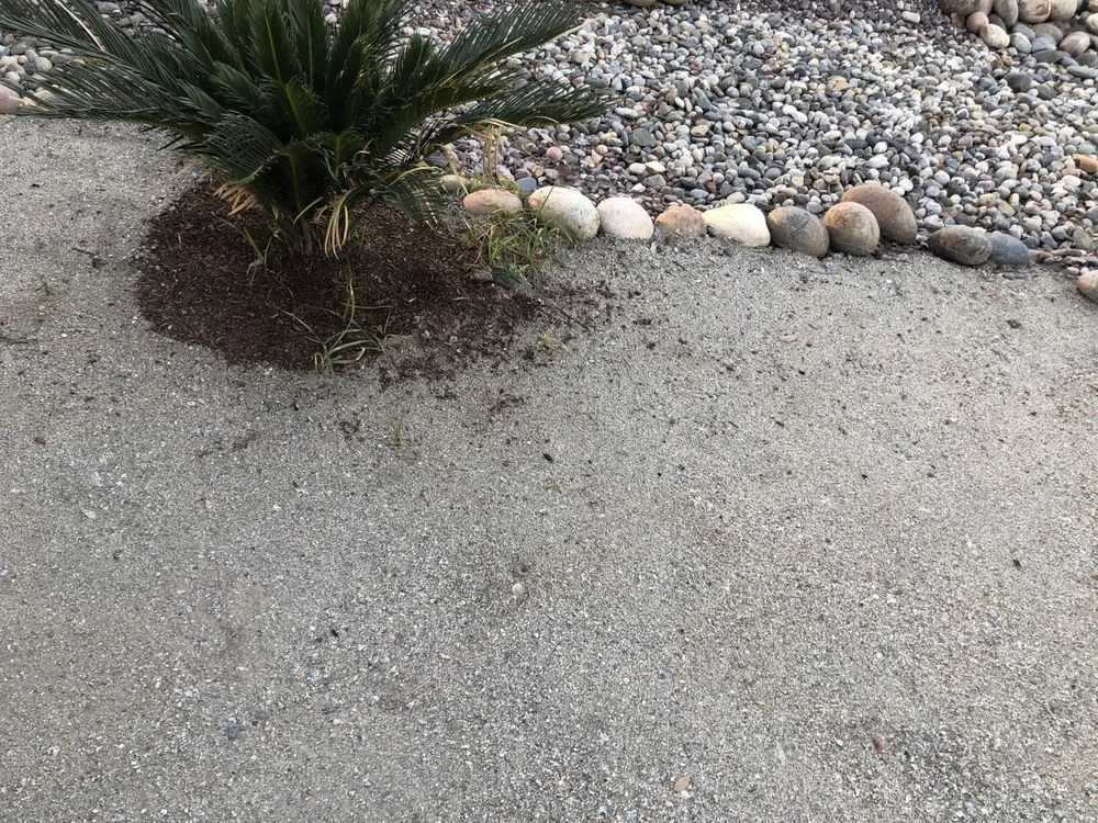 Top-rated yard maintenance in Visalia, CA by Green Valley Gardening