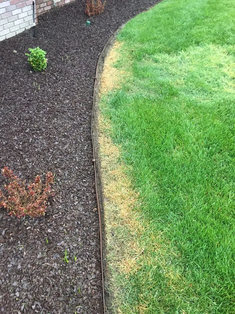 Reliable outdoor landscaping in Visalia, CA by Green Valley Gardening