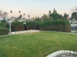 Custom outdoor landscaping for year-round maintenance across Visalia, CA - Green Valley Gardening