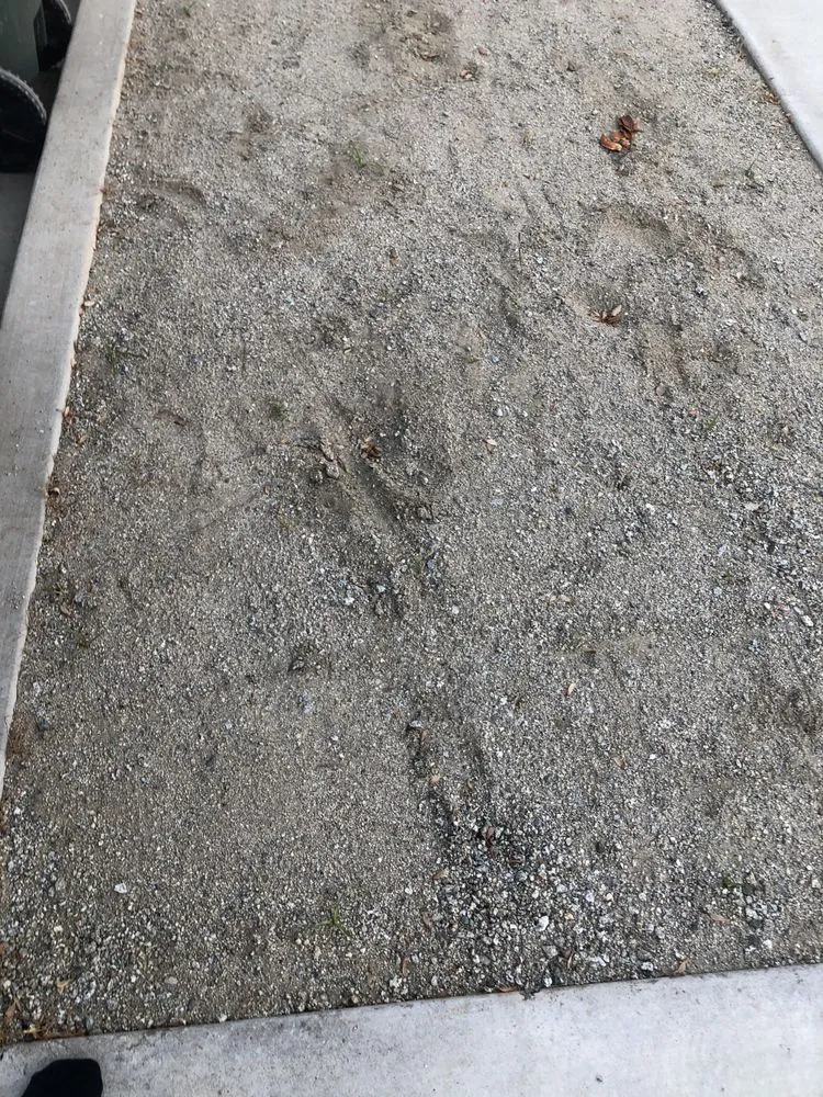 Trusted yard maintenance for homes across Visalia, CA - Green Valley Gardening