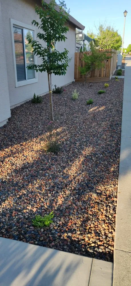 Professional lawn care service in Citrus Heights, CA by Green Valley Landscape & Maintenance