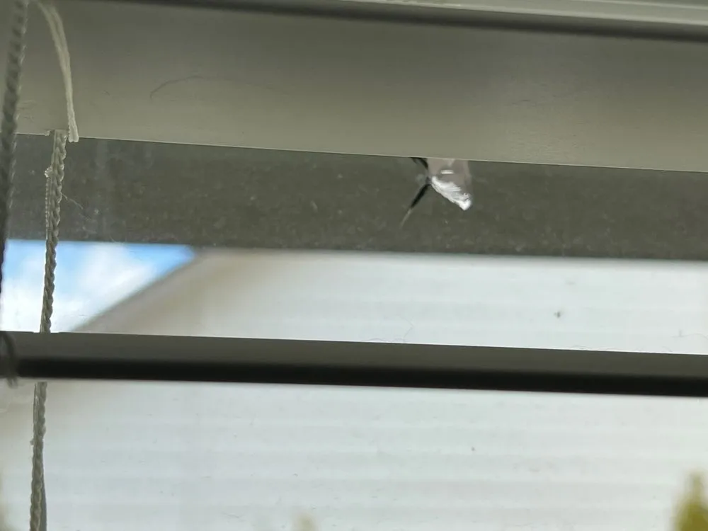 Reliable yard maintenance experts serving Citrus Heights, CA - Green Valley Landscape & Maintenance