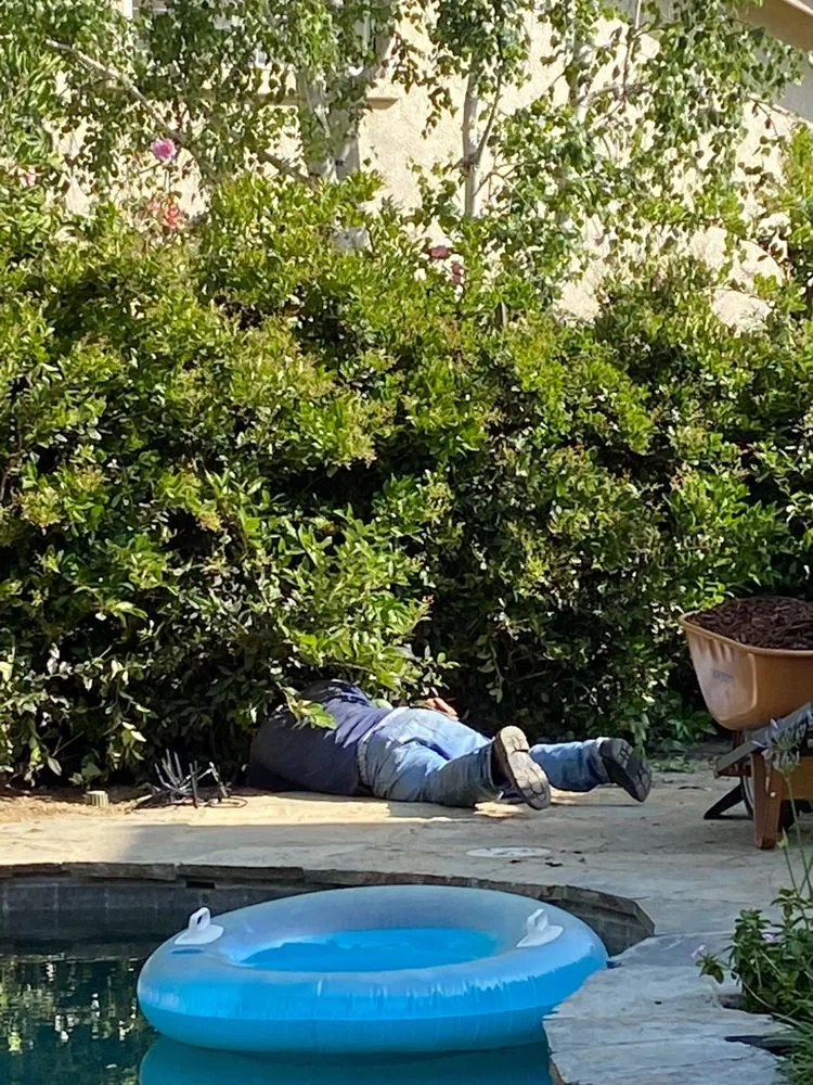 Professional lawn care service in Oxnard, CA by Green Valley Landscape and Design