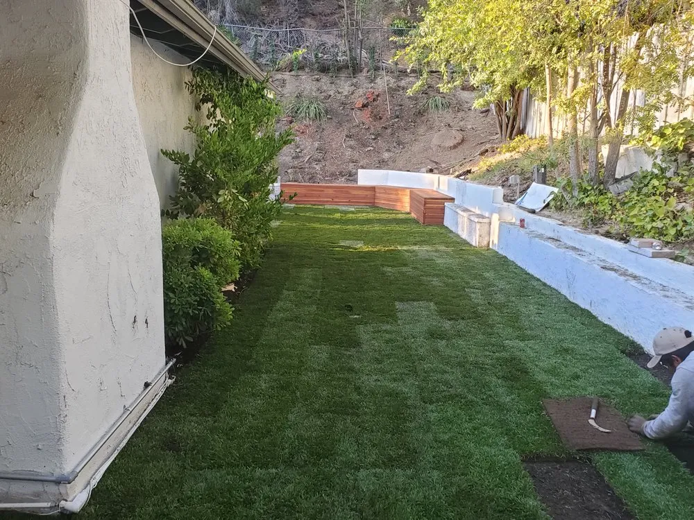 Local yard cleanup service in Oxnard, CA - Green Valley Landscape and Design
