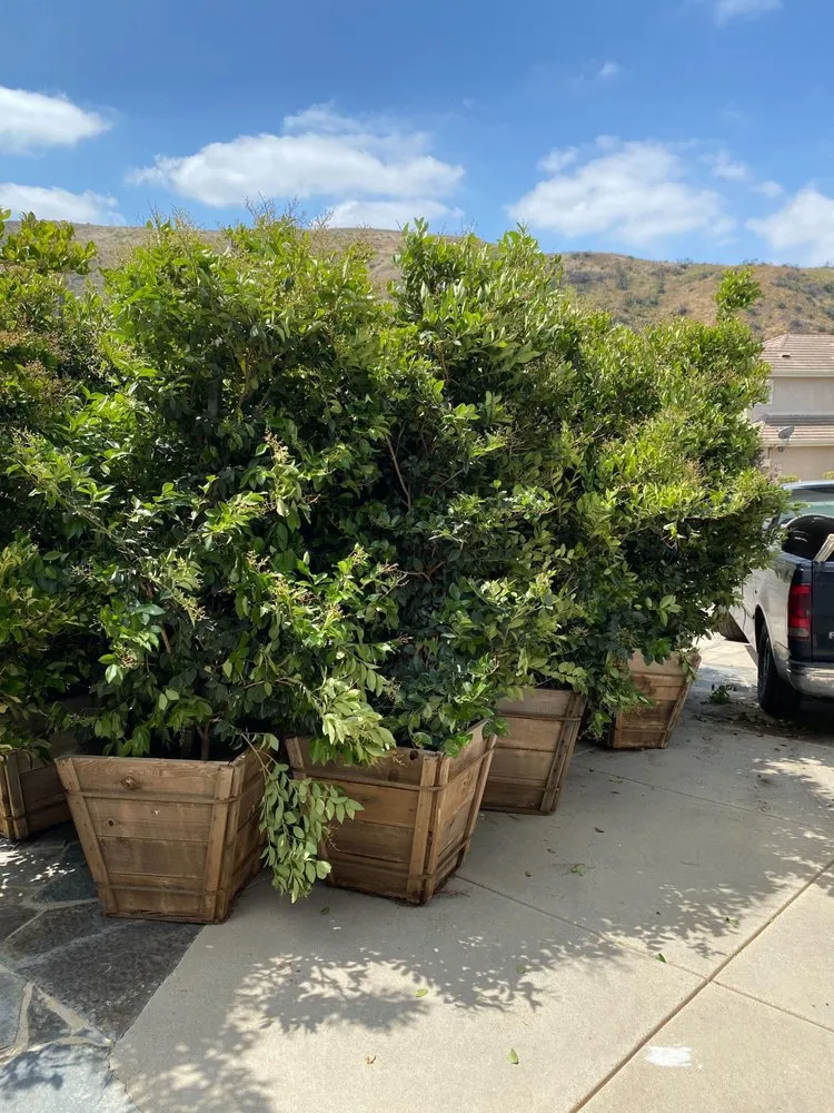 Trusted landscaping services experts serving Oxnard, CA - Green Valley Landscape and Design