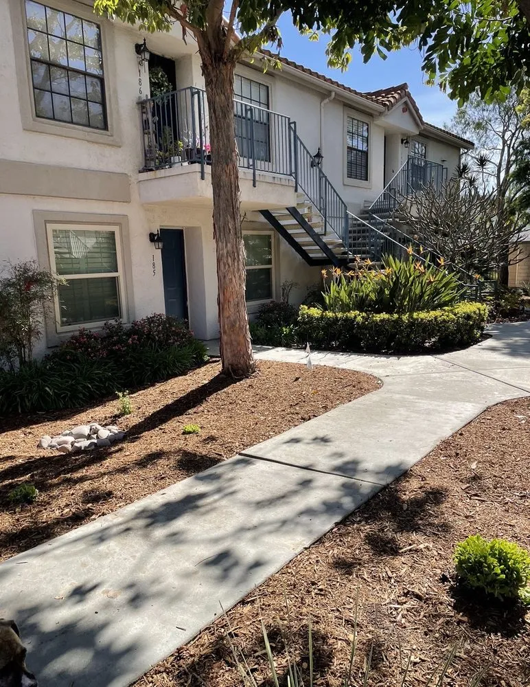 Top-rated yard cleanup service experts serving Escondido, CA - Green Valley Landscape and Maintenance