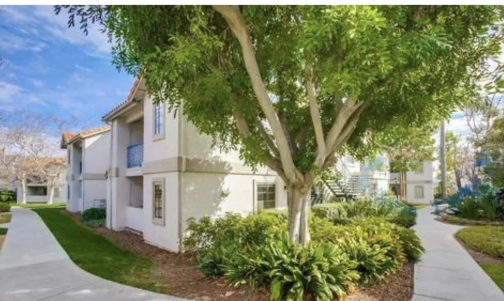 Expert lawn care service for year-round maintenance across Escondido, CA - Green Valley Landscape and Maintenance