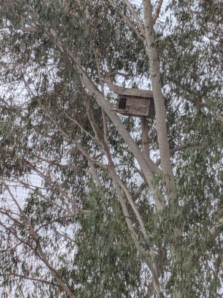 Top-rated residential landscaping for beautiful yards across Escondido, CA - Green Valley Landscape and Maintenance