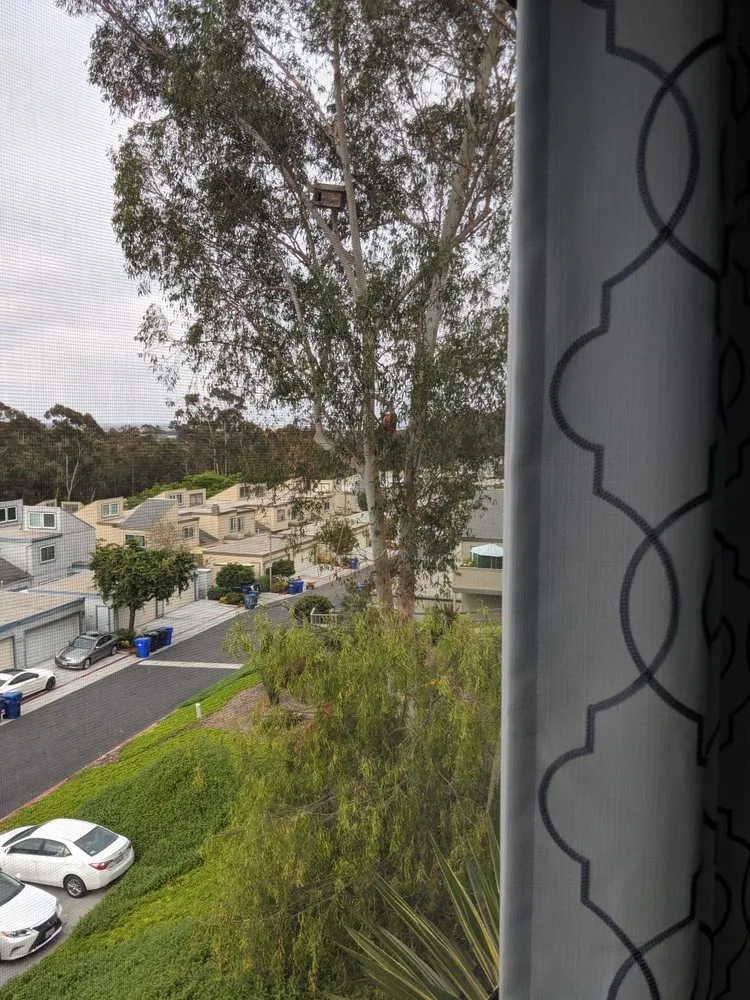 Reliable outdoor landscaping in Escondido, CA by Green Valley Landscape and Maintenance