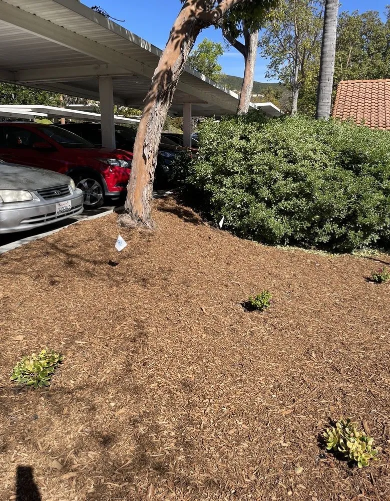 Custom outdoor landscaping experts serving Escondido, CA - Green Valley Landscape and Maintenance