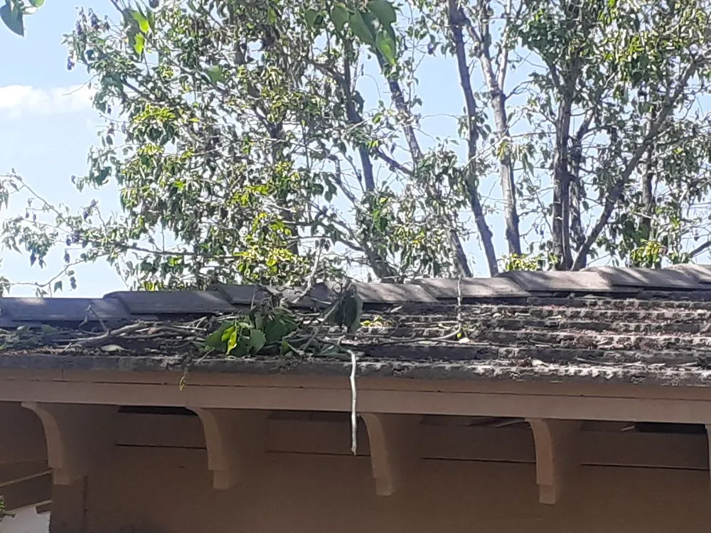 Custom residential landscaping with custom design in Escondido, CA by Green Valley Landscape and Maintenance