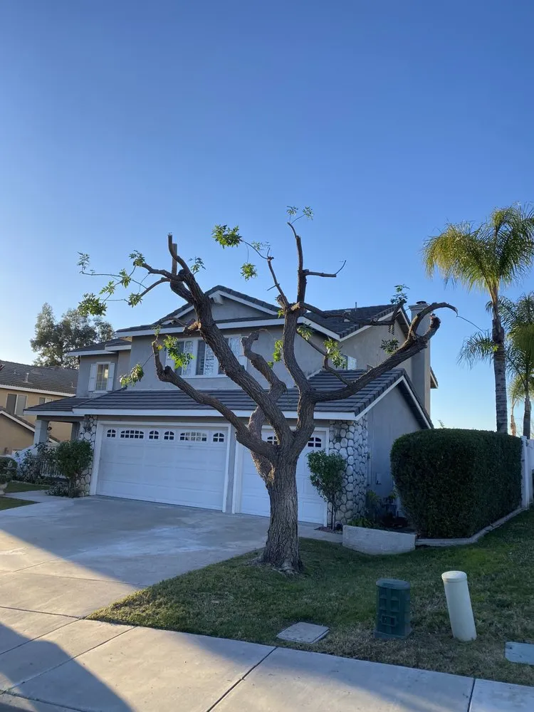 Affordable lawn care service in Canyon Lake, CA by Green Valley Landscape