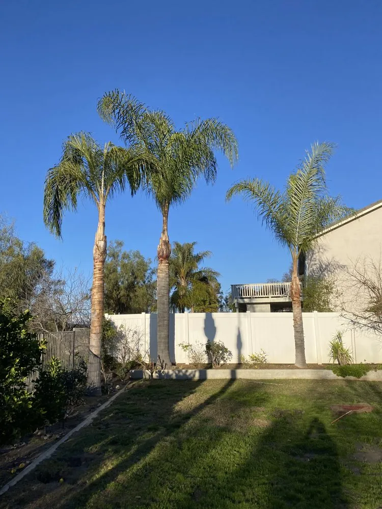 Professional yard cleanup service in Canyon Lake, CA - Green Valley Landscape