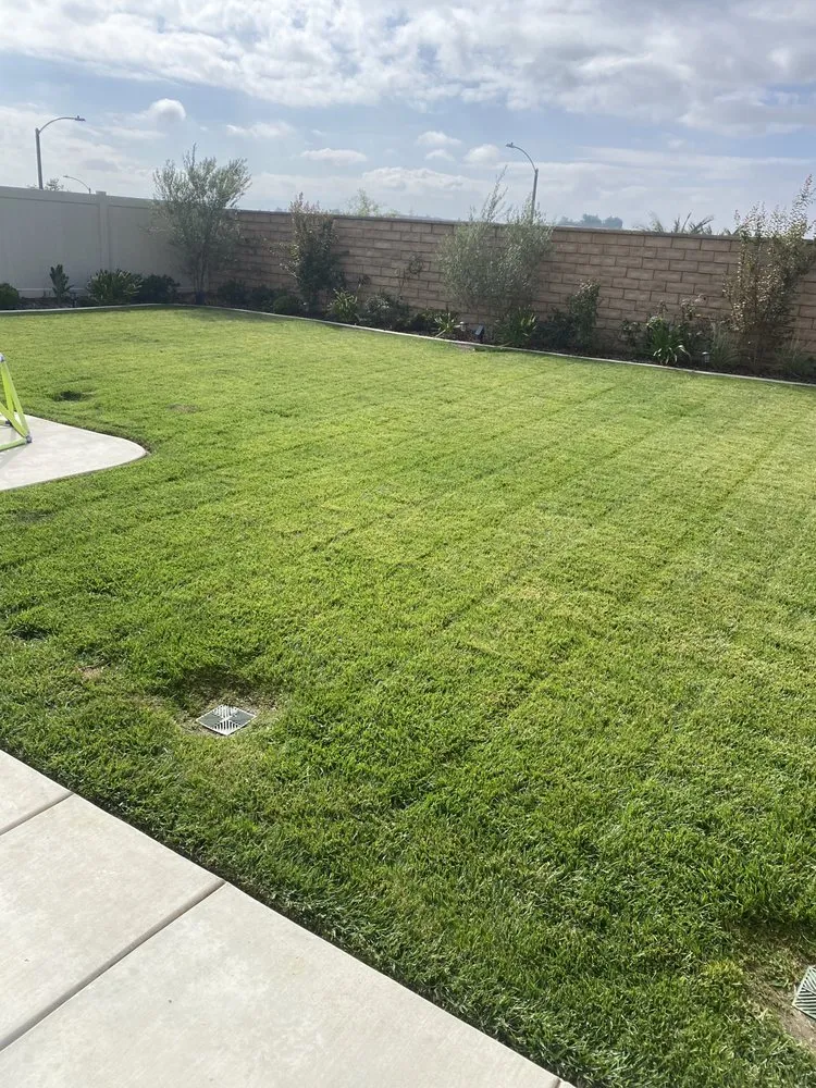 Top-rated landscape installation near you in Canyon Lake, CA by Green Valley Landscape