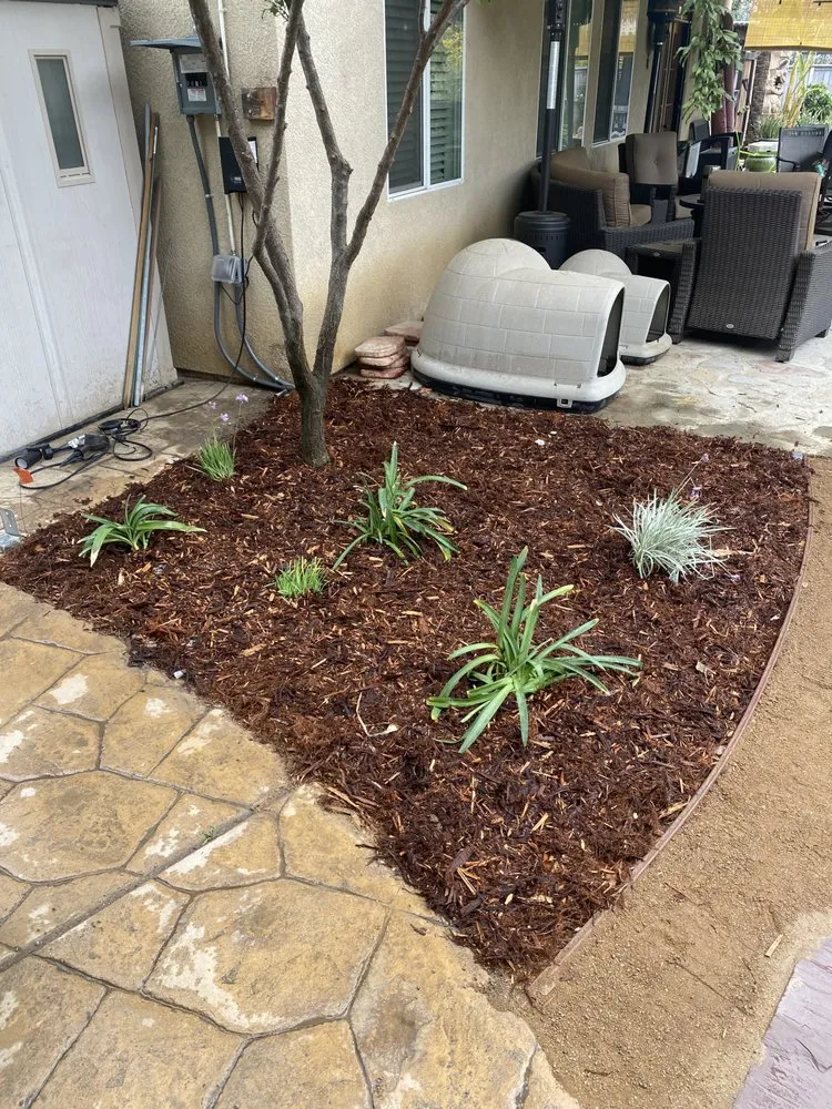 Top-rated lawn care service in Canyon Lake, CA by Green Valley Landscape